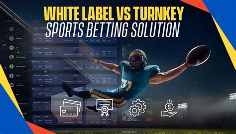 sports betting turnkey solution|Healthcare Workforce Solutions .